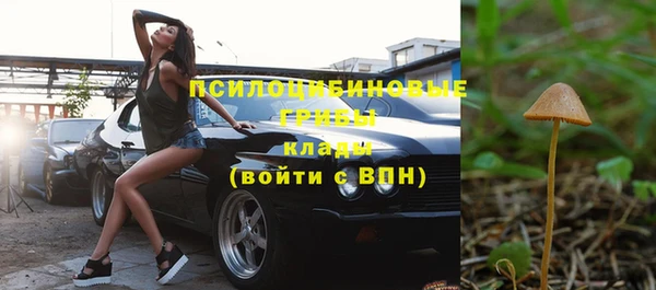 стаф Володарск