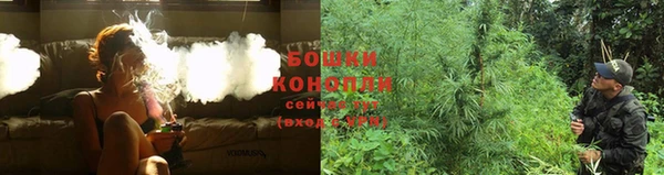 стаф Володарск
