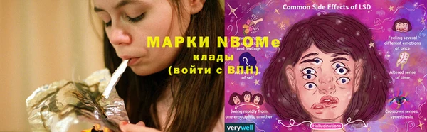 стаф Володарск