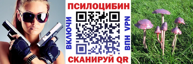 Псилоцибиновые грибы мухоморы  купить наркотик  Петров Вал 